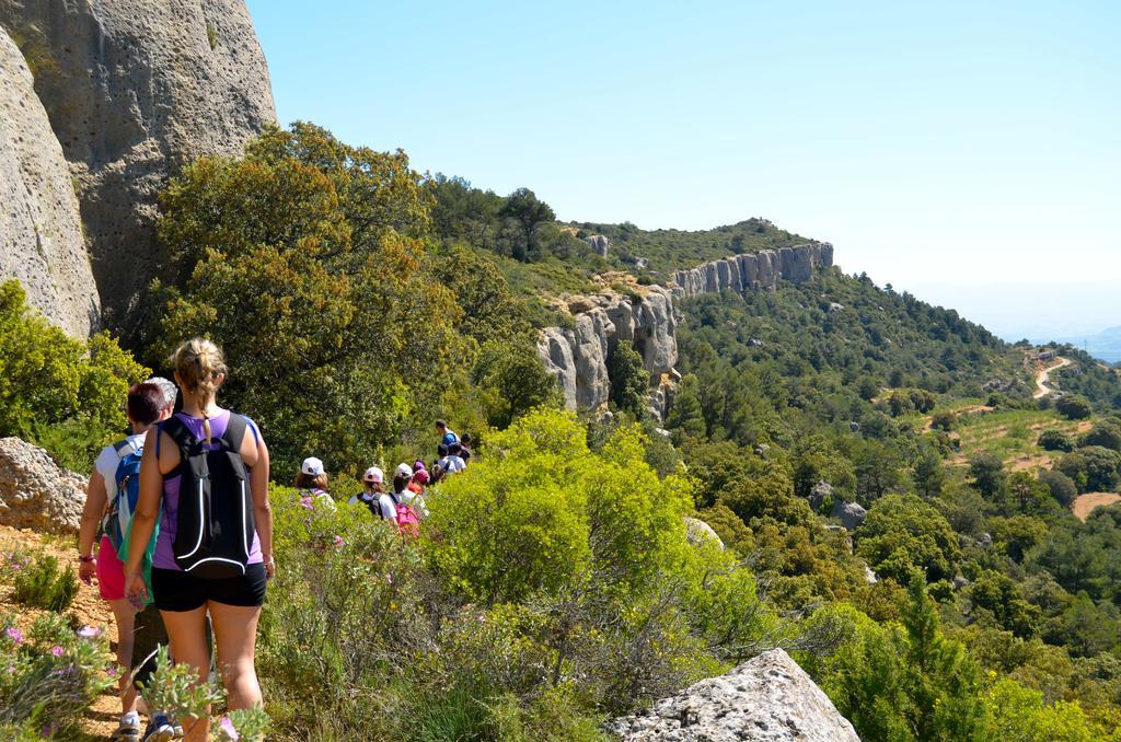 Camping Bungalow Serra De Prades Resort Vilanova de Prades Екстериор снимка